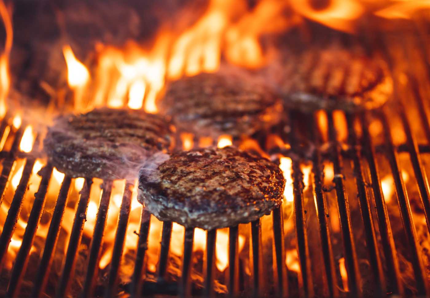 How to choose the best grill for your home? Quantum Living